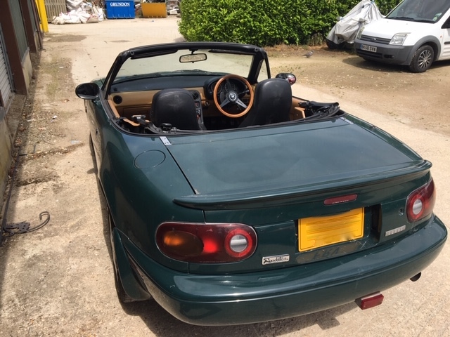 image1.jpeg